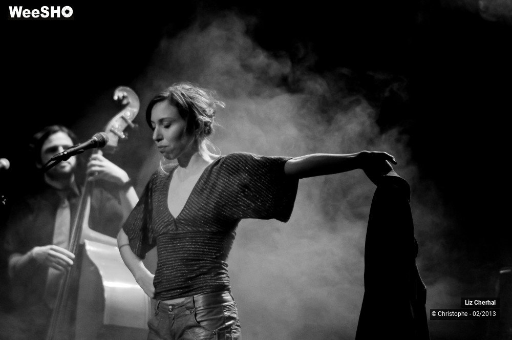 5/41 photos du spectacle Liz Cherhal