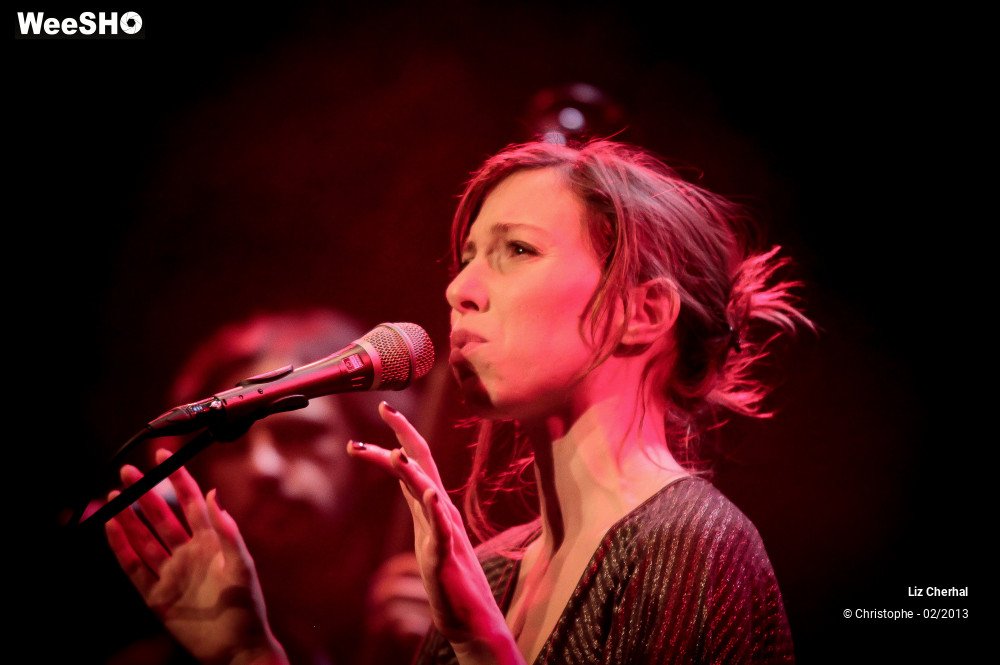 6/41 photos du spectacle Liz Cherhal