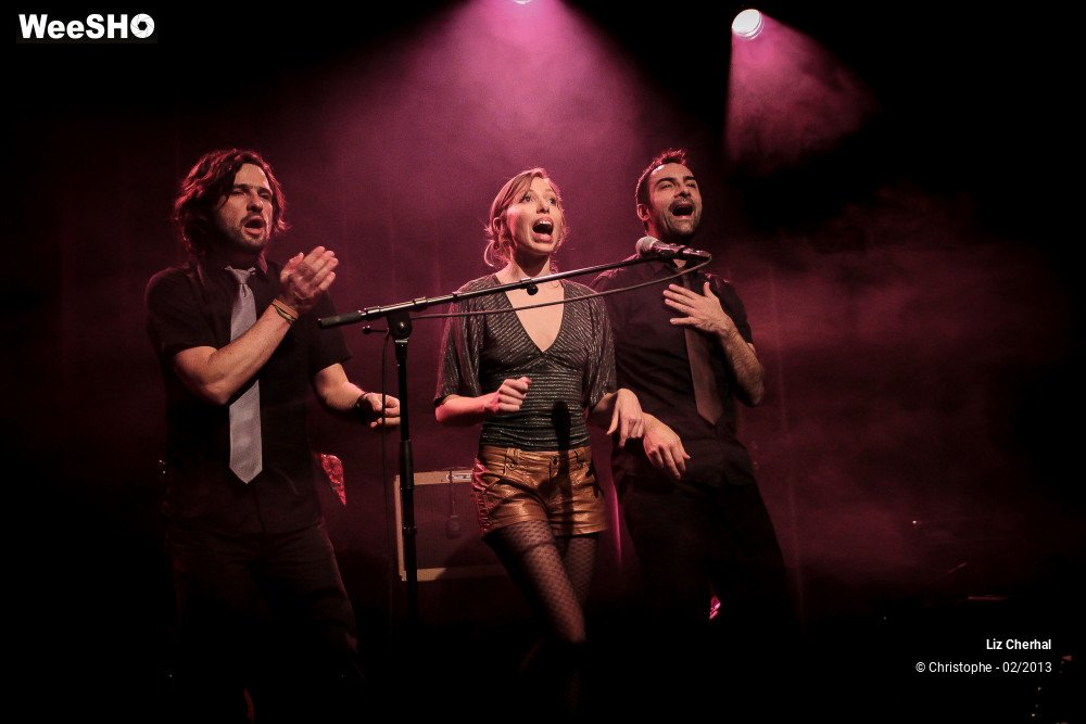 9/41 photos du spectacle Liz Cherhal