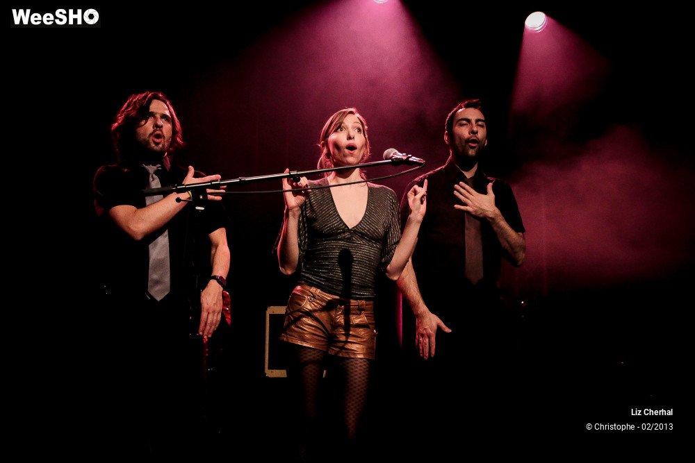 12/41 photos du spectacle Liz Cherhal