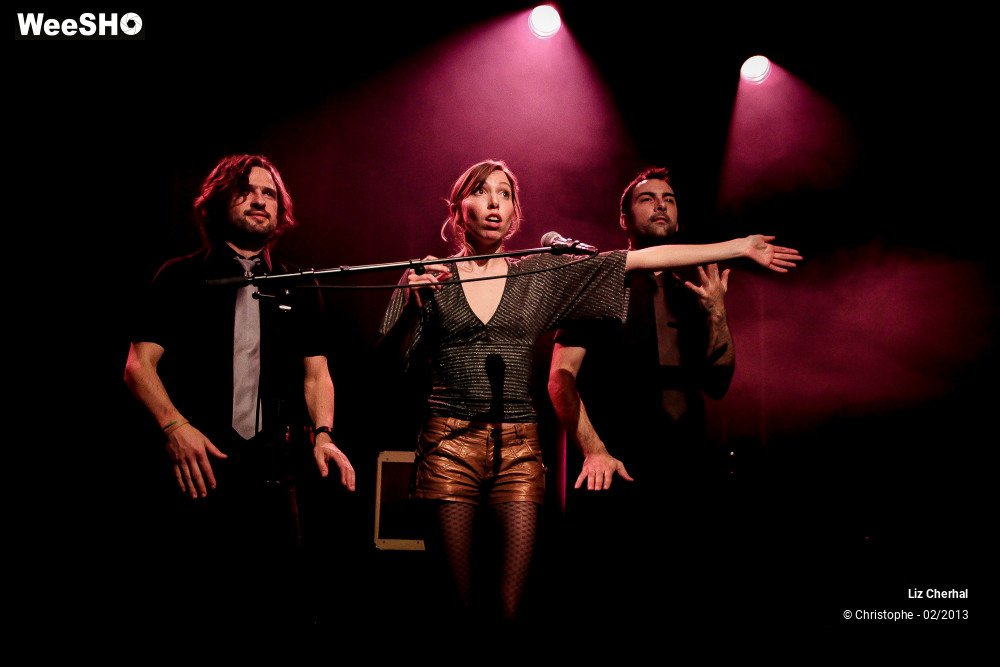 16/41 photos du spectacle Liz Cherhal