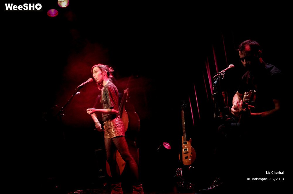 17/41 photos du spectacle Liz Cherhal