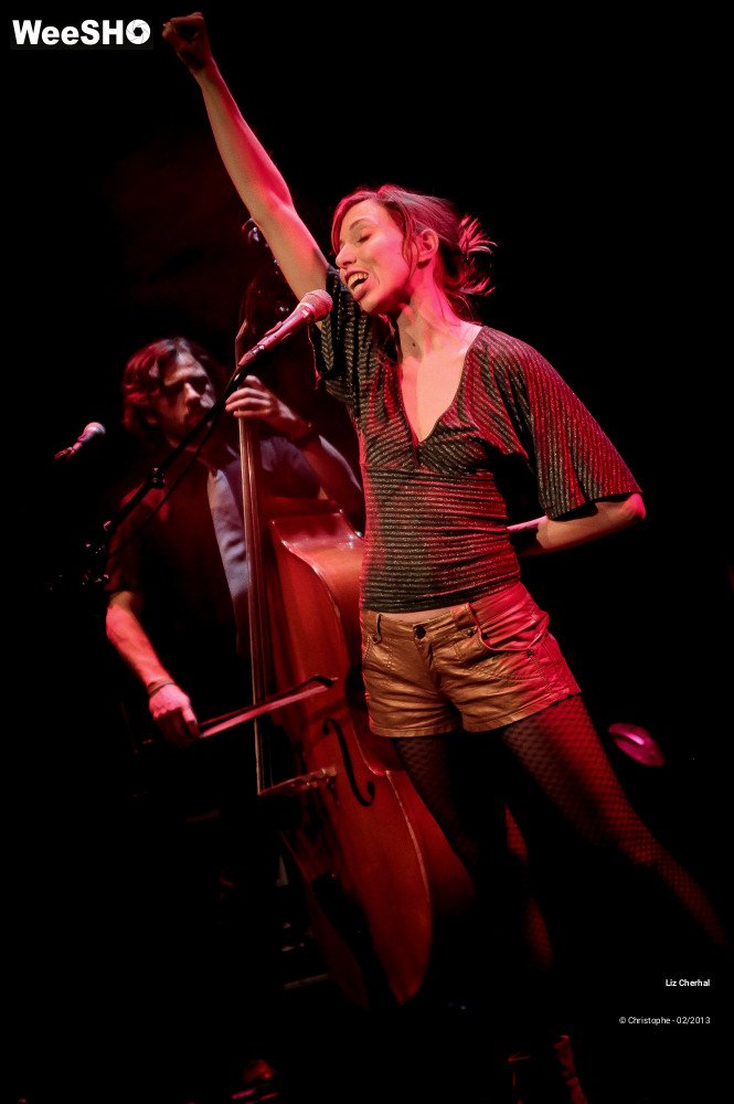27/41 photos du spectacle Liz Cherhal