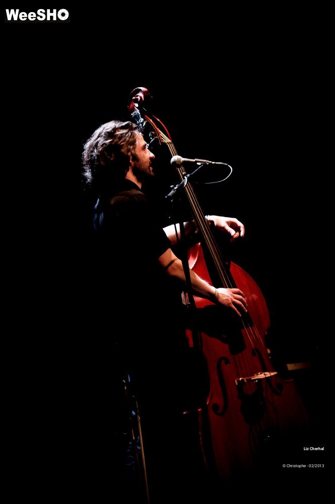 30/41 photos du spectacle Liz Cherhal
