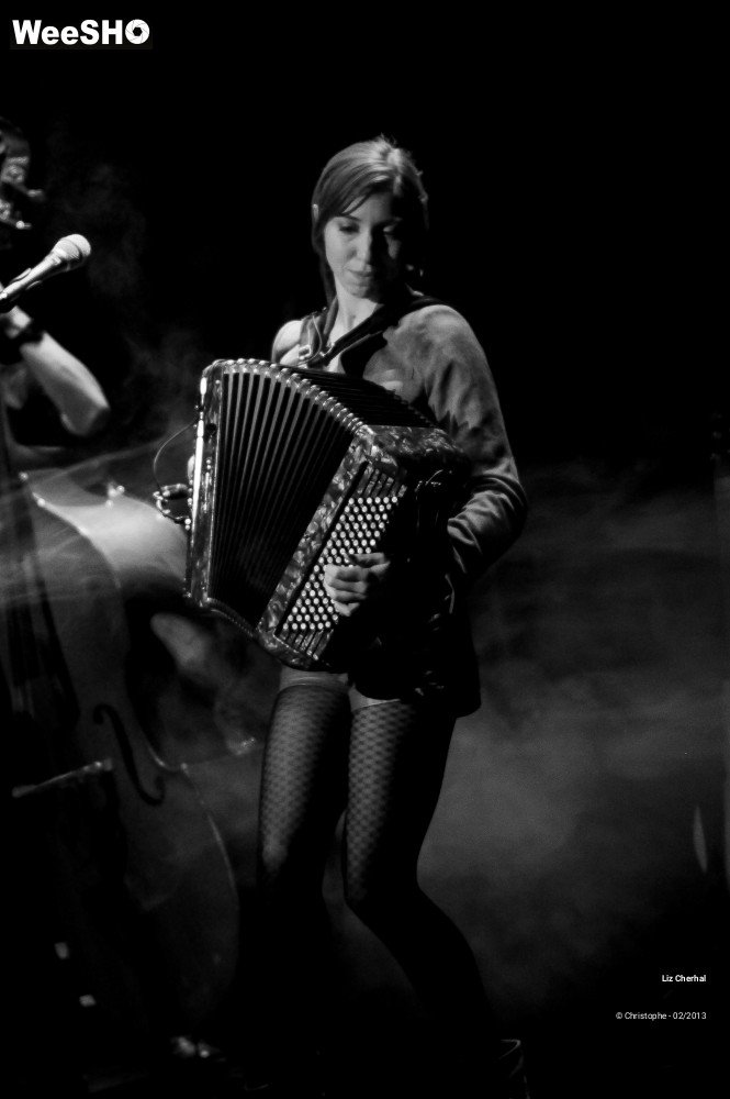 31/41 photos du spectacle Liz Cherhal