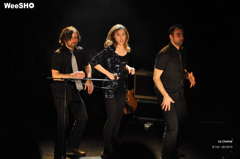 5/50 photos du spectacle Liz Cherhal