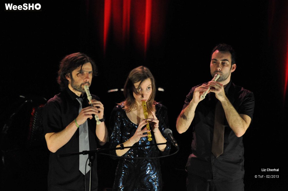6/50 photos du spectacle Liz Cherhal