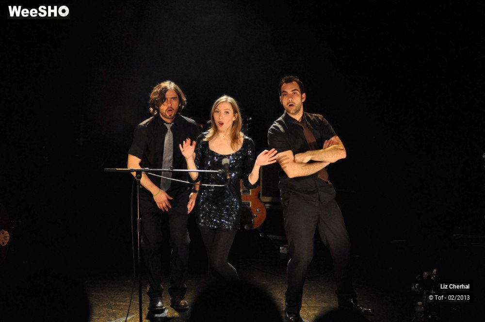 10/50 photos du spectacle Liz Cherhal