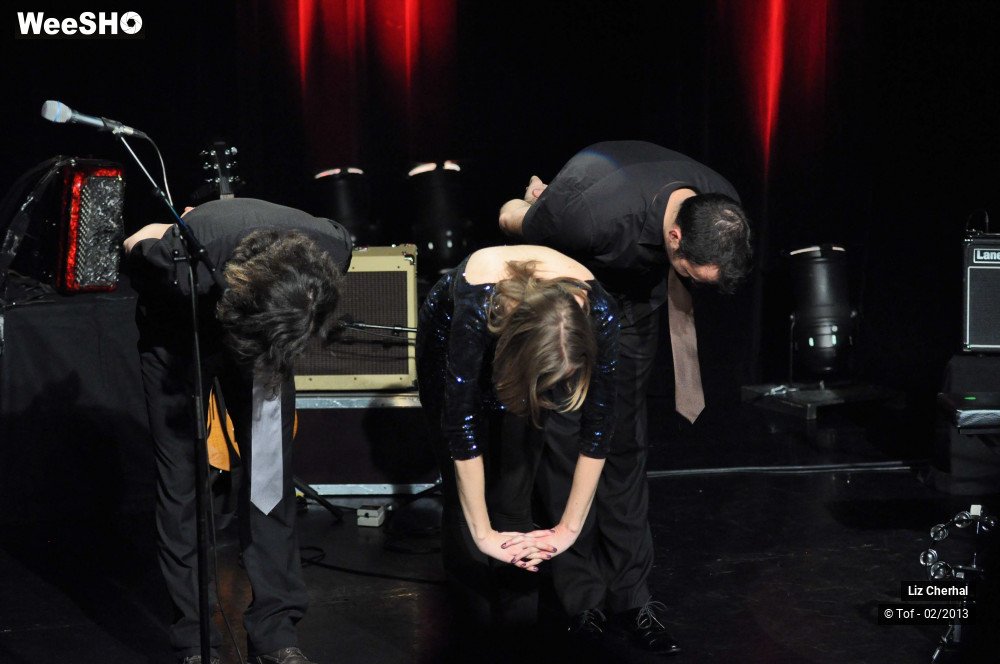 14/50 photos du spectacle Liz Cherhal