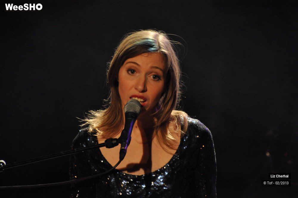16/50 photos du spectacle Liz Cherhal