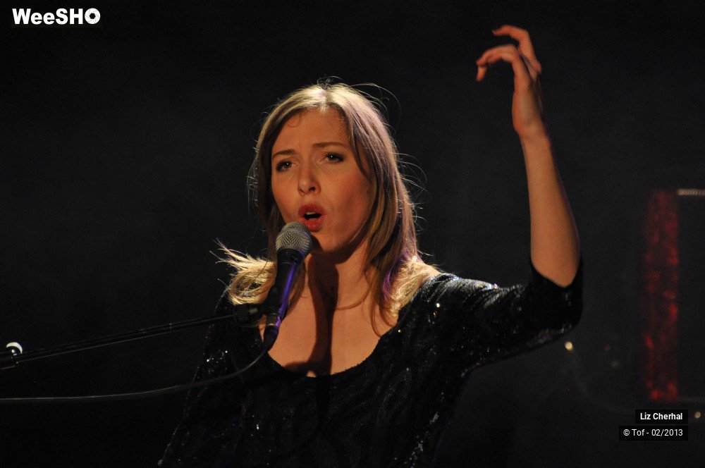 17/50 photos du spectacle Liz Cherhal