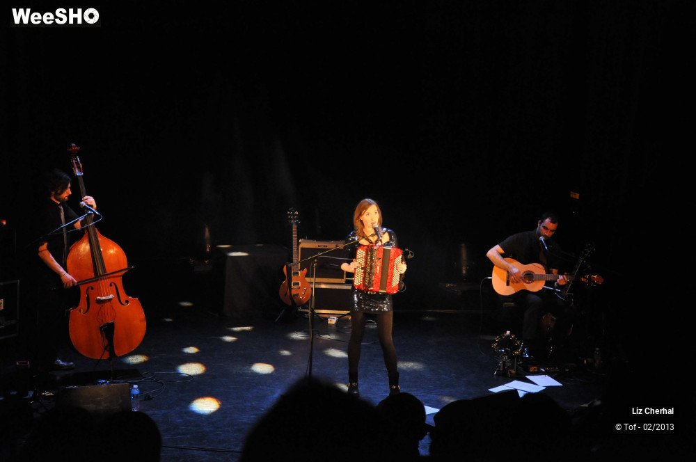 18/50 photos du spectacle Liz Cherhal