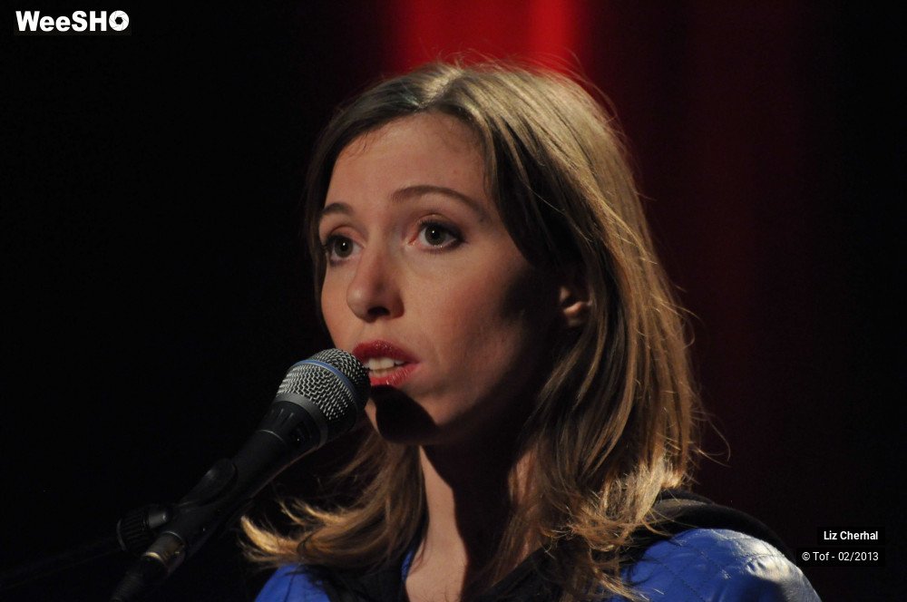19/50 photos du spectacle Liz Cherhal