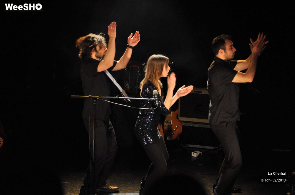 23/50 photos du spectacle Liz Cherhal