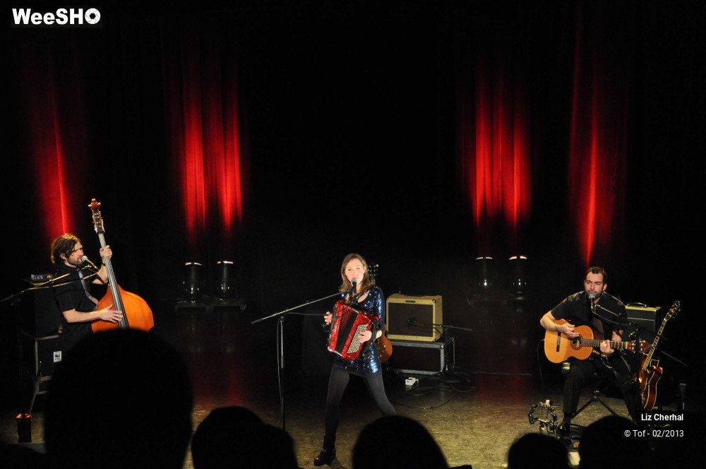24/50 photos du spectacle Liz Cherhal