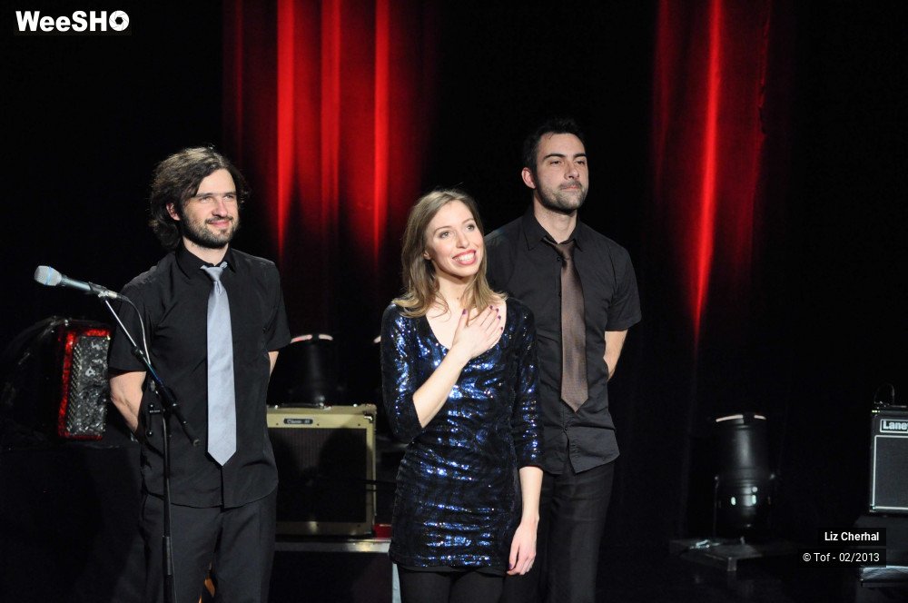 25/50 photos du spectacle Liz Cherhal