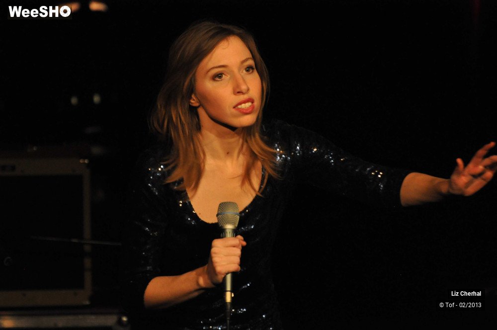 26/50 photos du spectacle Liz Cherhal