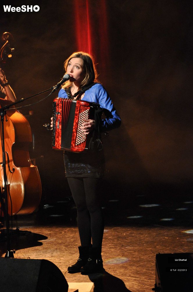 30/50 photos du spectacle Liz Cherhal