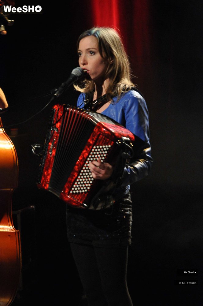 39/50 photos du spectacle Liz Cherhal