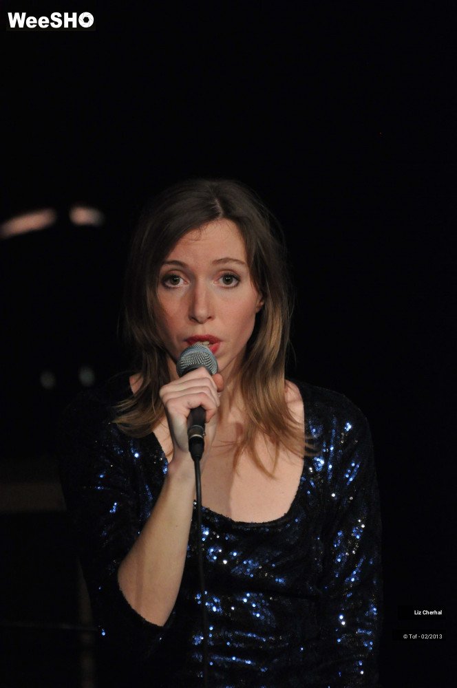 40/50 photos du spectacle Liz Cherhal
