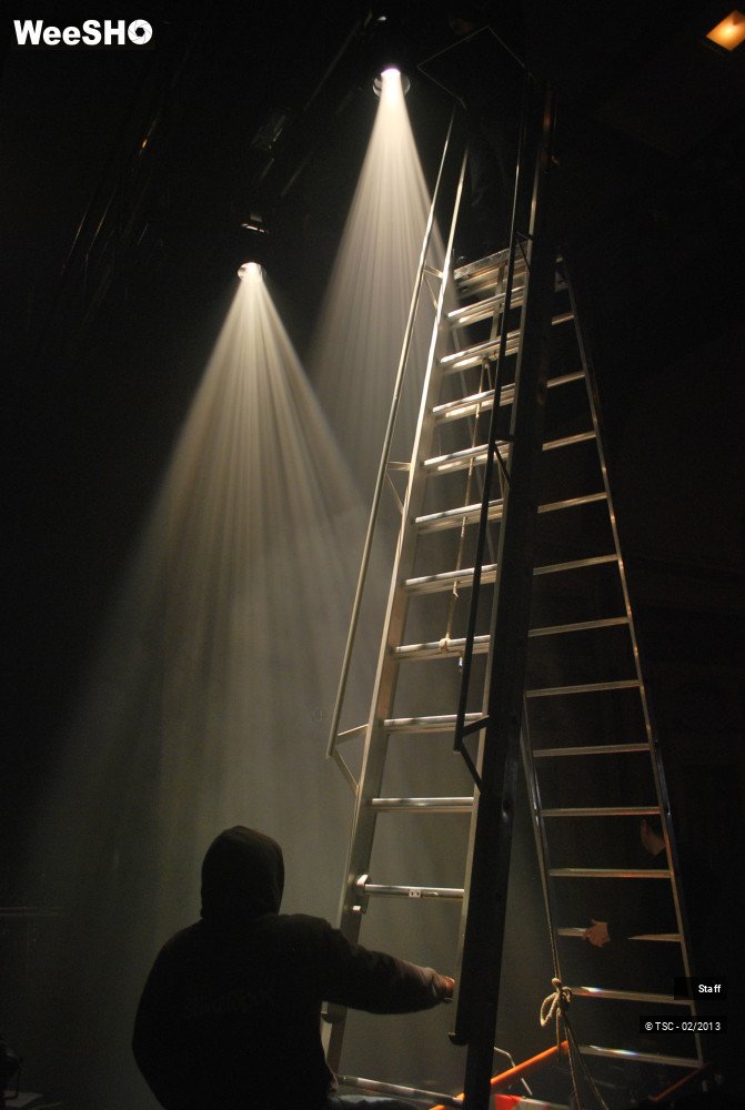 20/33 photos du spectacle Alain Souchon Staff