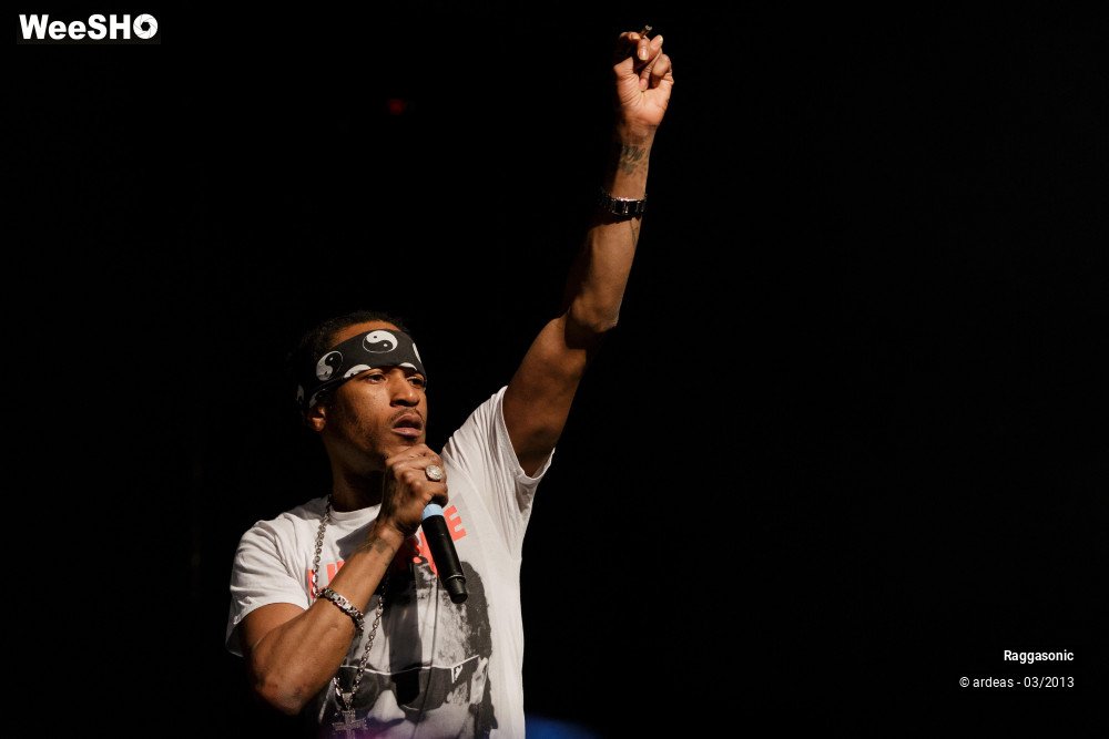 2/49 photos du spectacle Raggasonic