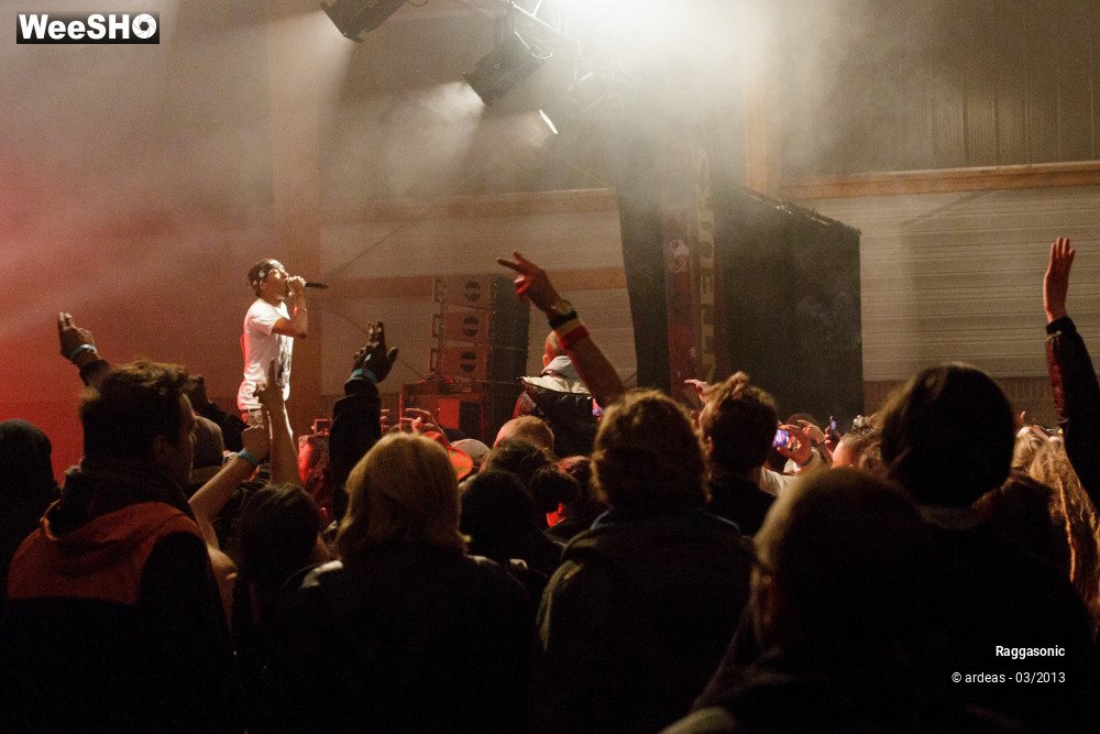 3/49 photos du spectacle Raggasonic