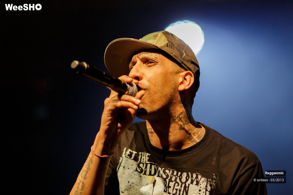 4/49 photos du spectacle Raggasonic