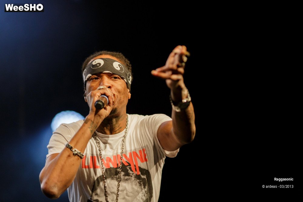 5/49 photos du spectacle Raggasonic