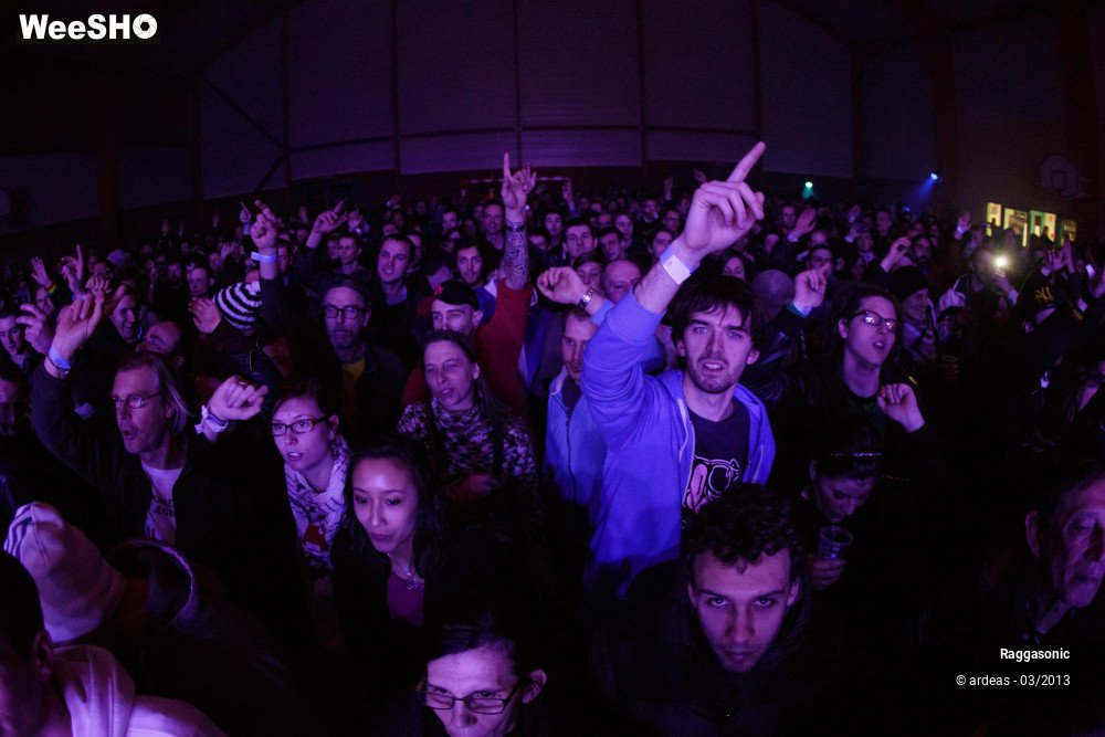 8/49 photos du spectacle Raggasonic