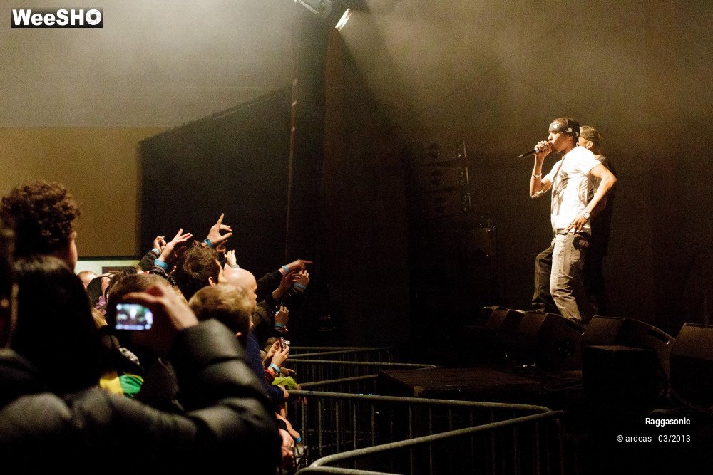 9/49 photos du spectacle Raggasonic