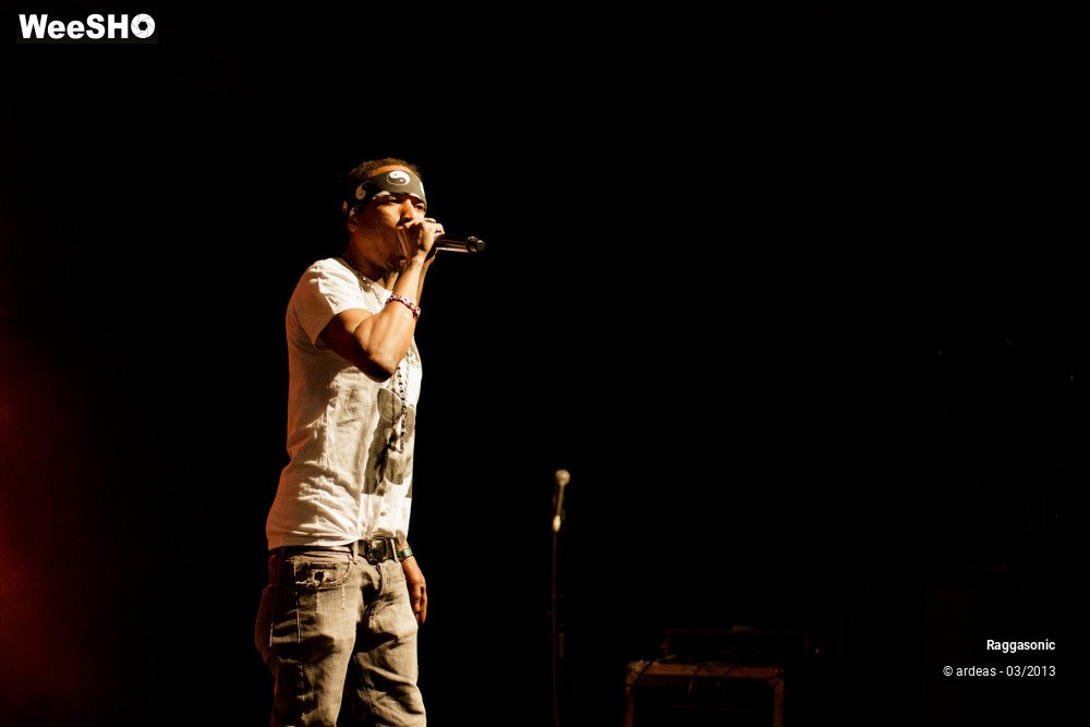 10/49 photos du spectacle Raggasonic