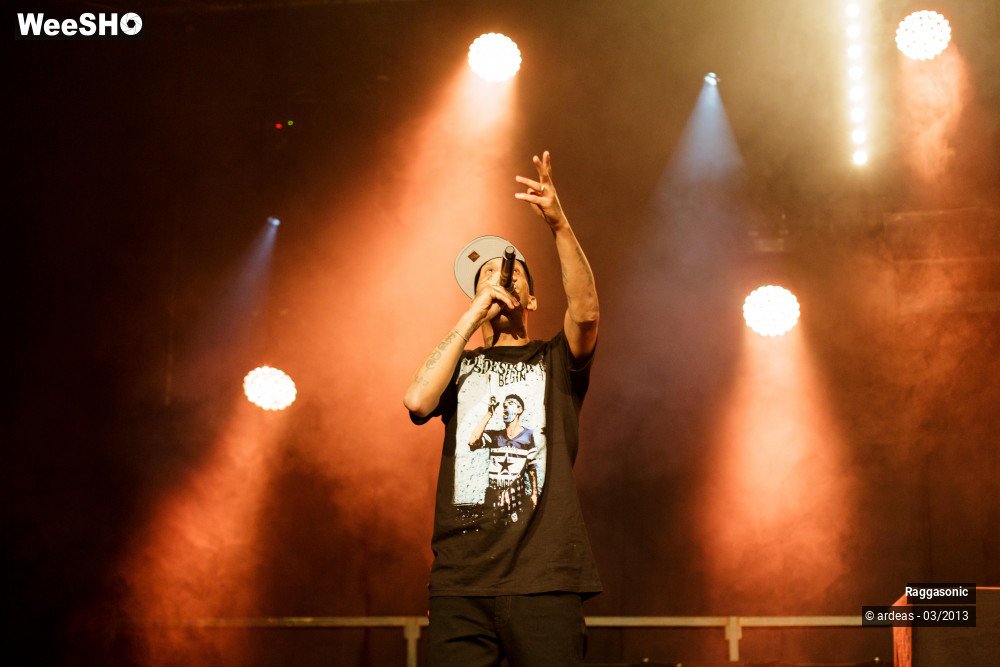 11/49 photos du spectacle Raggasonic