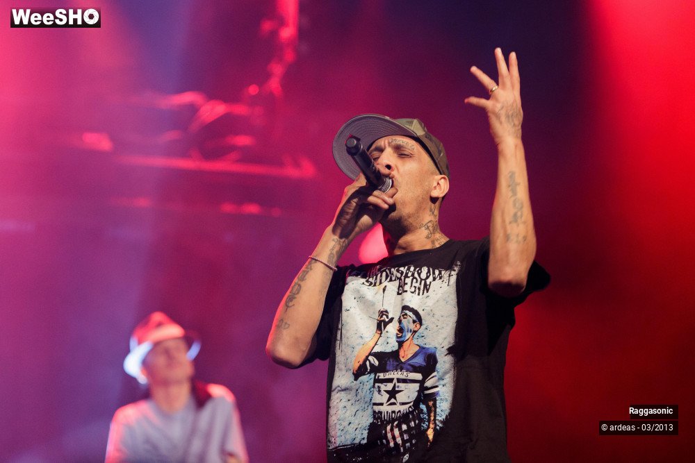 13/49 photos du spectacle Raggasonic