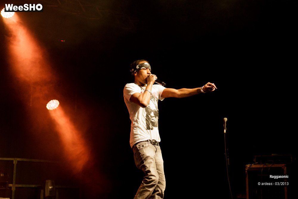 15/49 photos du spectacle Raggasonic