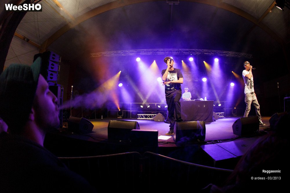 16/49 photos du spectacle Raggasonic