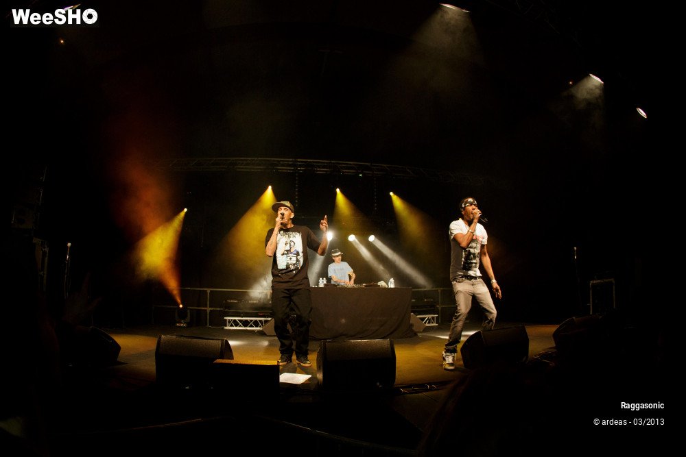 19/49 photos du spectacle Raggasonic