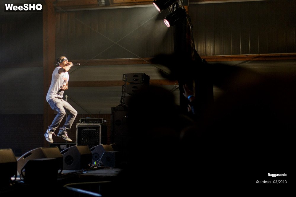 21/49 photos du spectacle Raggasonic