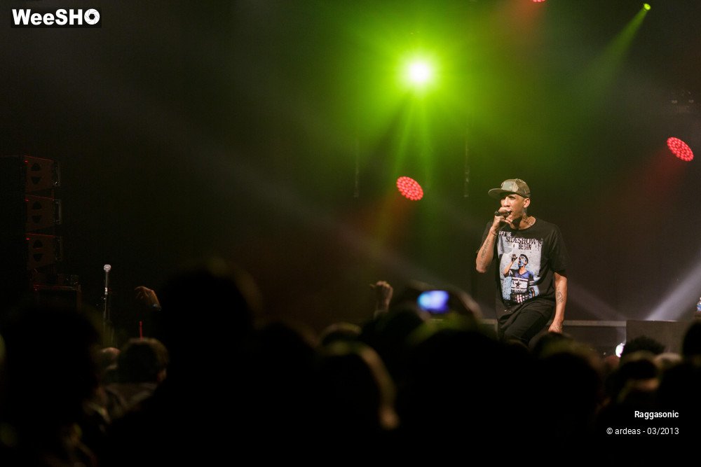 23/49 photos du spectacle Raggasonic