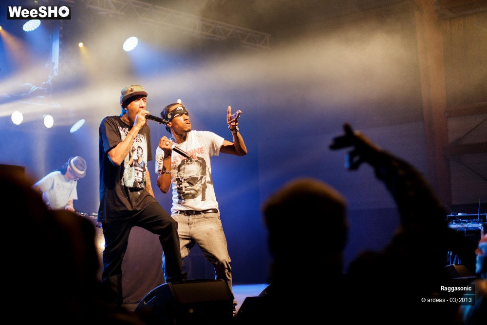 27/49 photos du spectacle Raggasonic