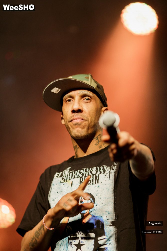 29/49 photos du spectacle Raggasonic