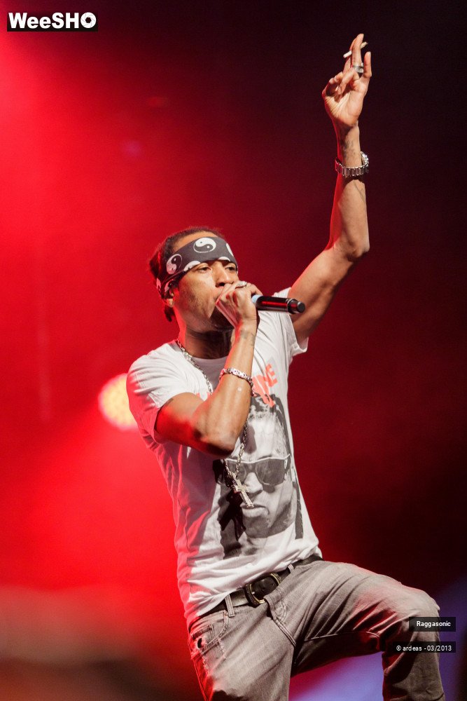 31/49 photos du spectacle Raggasonic