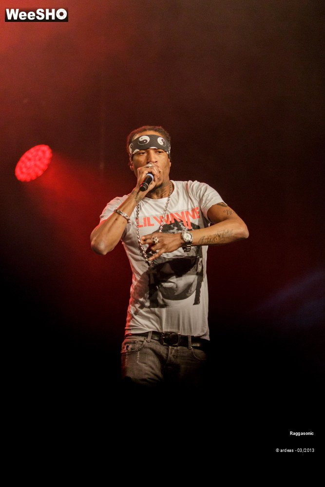 33/49 photos du spectacle Raggasonic