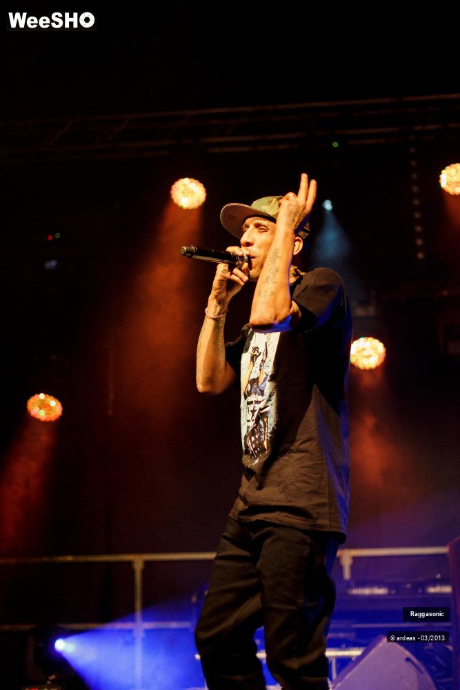 34/49 photos du spectacle Raggasonic