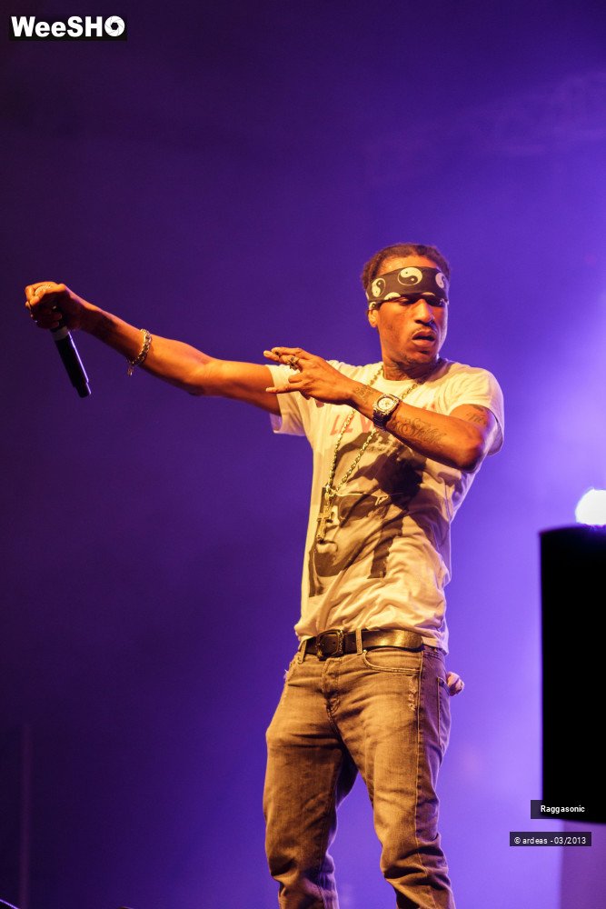 35/49 photos du spectacle Raggasonic