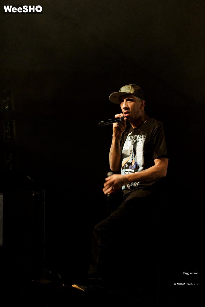 36/49 photos du spectacle Raggasonic