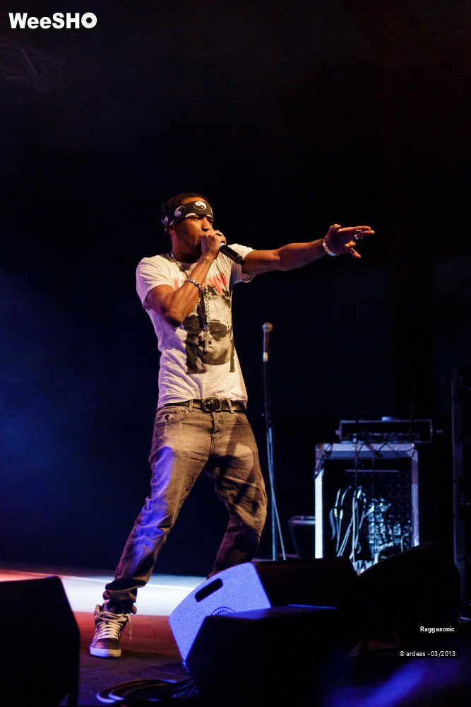 37/49 photos du spectacle Raggasonic