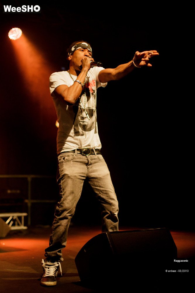38/49 photos du spectacle Raggasonic