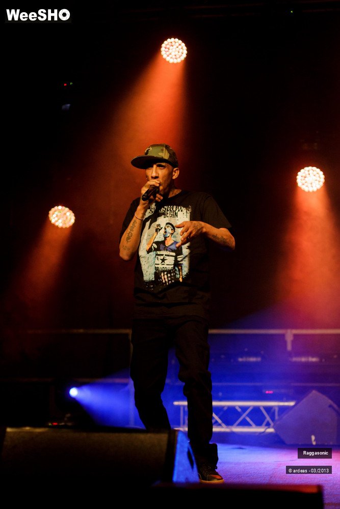 41/49 photos du spectacle Raggasonic