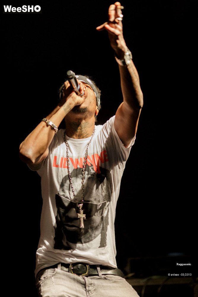 43/49 photos du spectacle Raggasonic